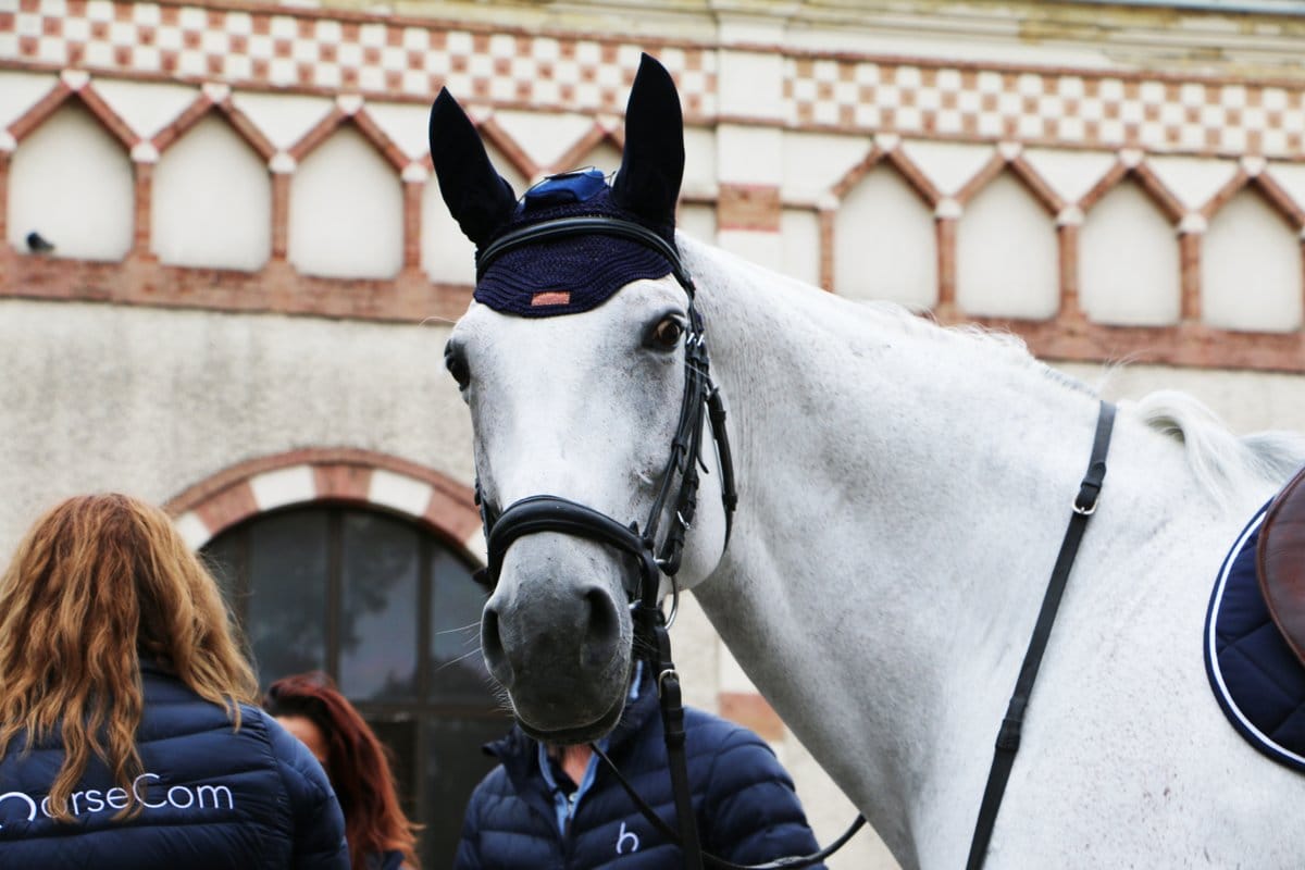 Leveraging The Power of Music, HorseCom Creates First Bluetooth